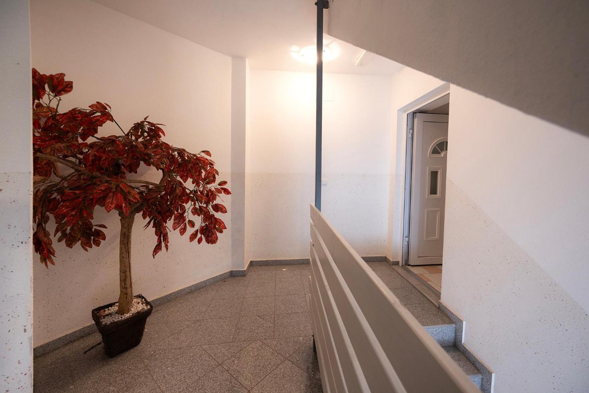 Grom Ribno Apartments Bled Luaran gambar